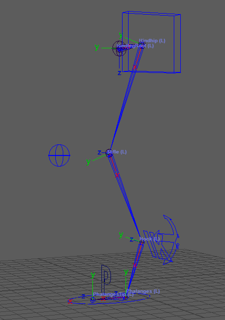../_images/hindleg_rig.png